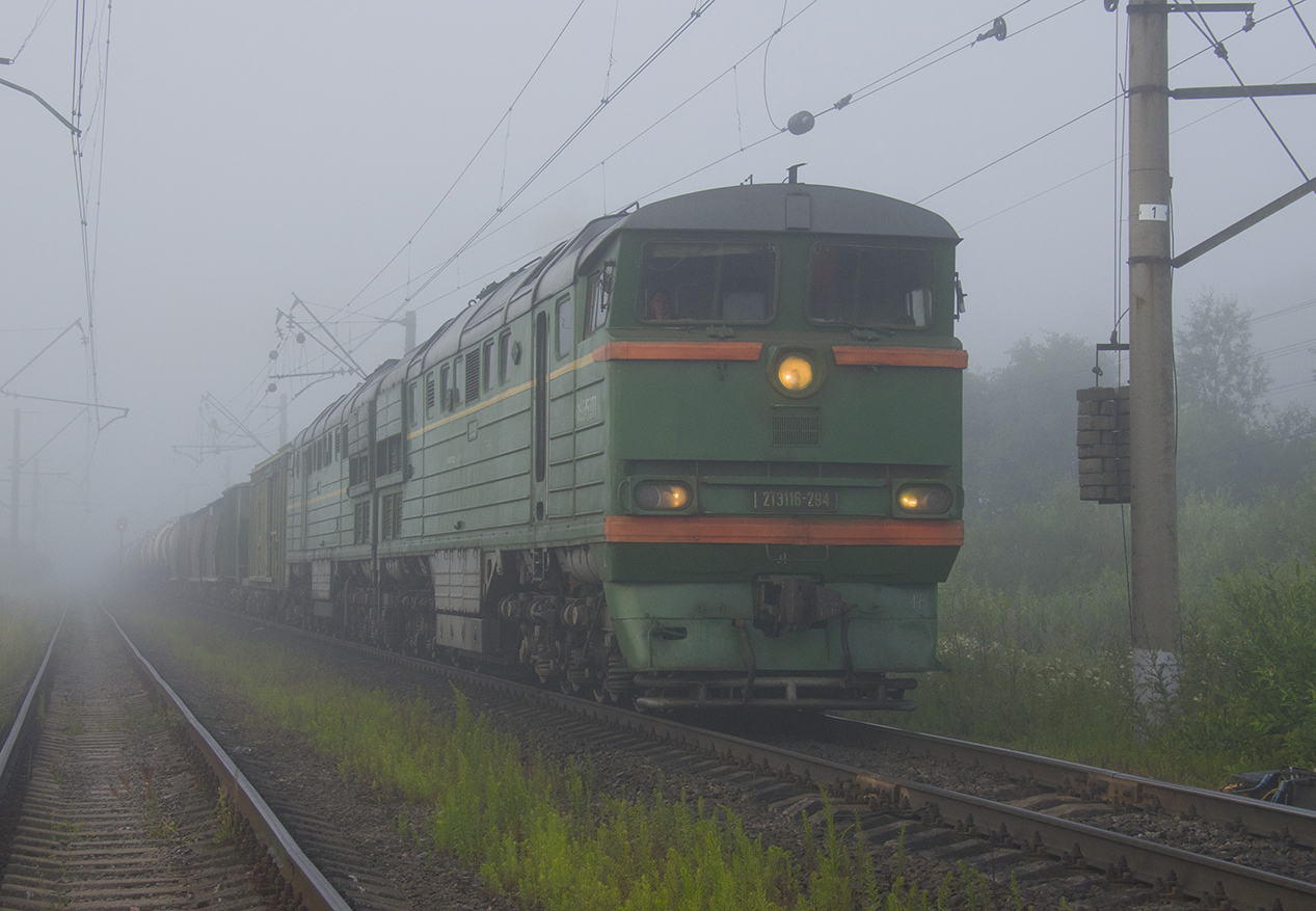 Электричка завтра оредеж санкт петербург. 2тэ 116 699. 2тэ 116 560. 2тэ116 294.