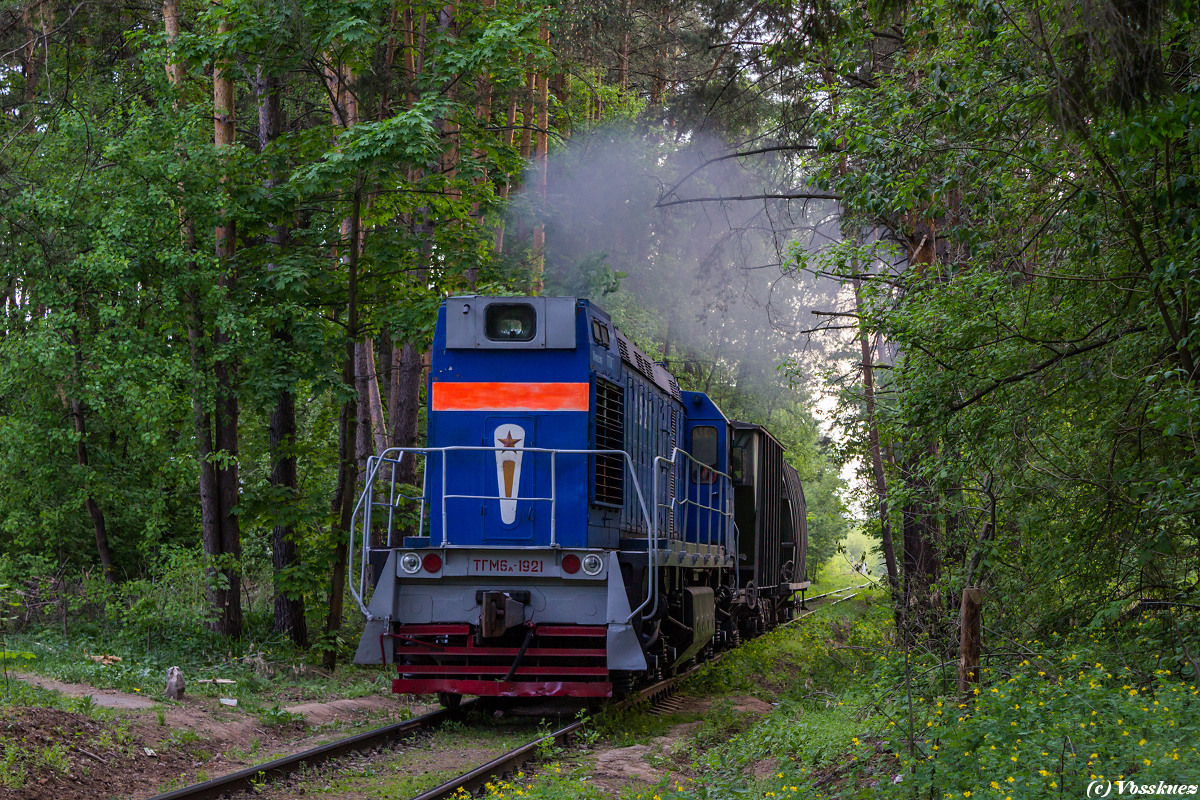 Жуковский железная дорога. Жуковский ППЖТ тгм6а 1108. Тгм6. Жуковский ППЖТ тгм6а 1374. Тгм4-1494 Ивановское ППЖТ-1.