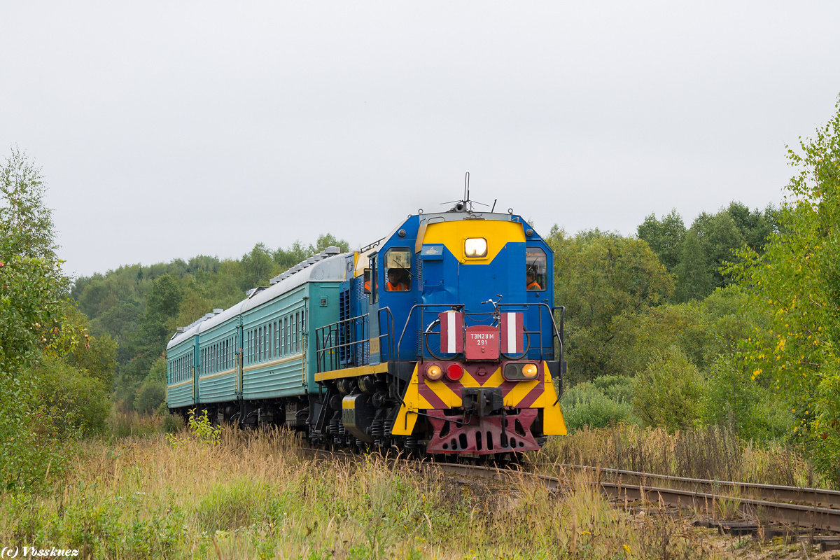 Второй ум. Тэм2ум 291. Станция Комсомольск Ивановская область. Железная дорога Иваново Комсомольск. Поезд Иваново Комсомольск Ивановской области.