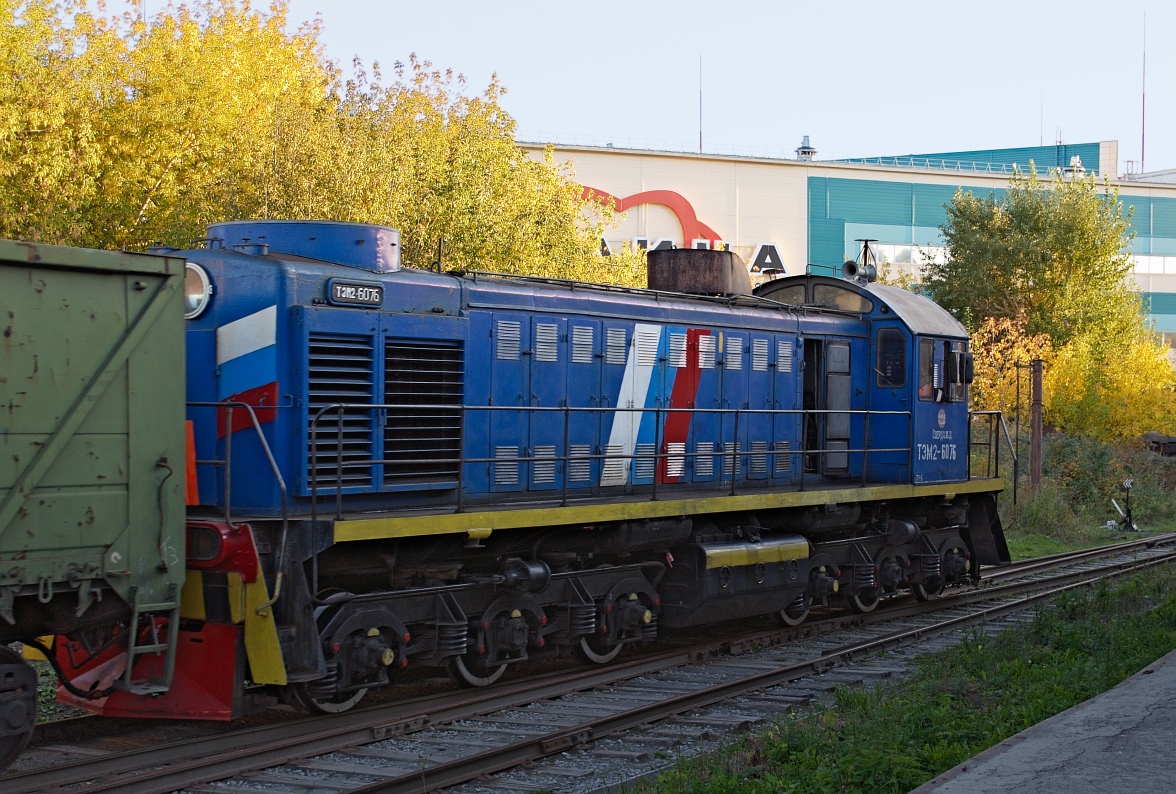 ТЭМ2-6076