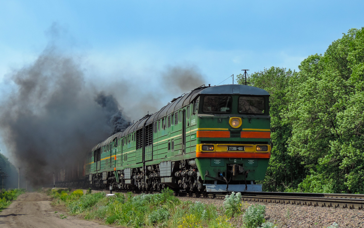 Поезд ртищево петербург