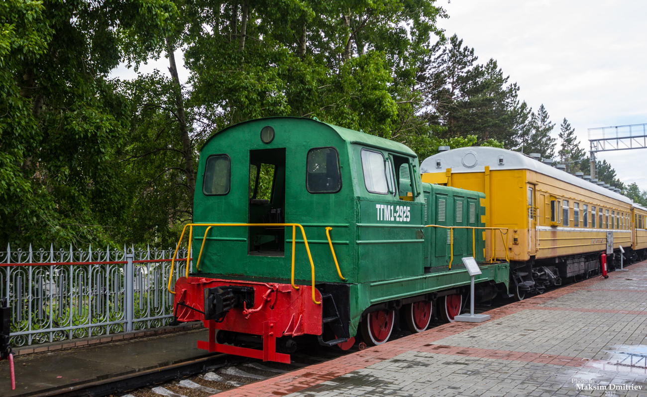 ТГМ1-2925