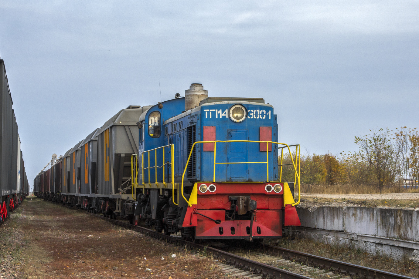 ТГМ4-3001