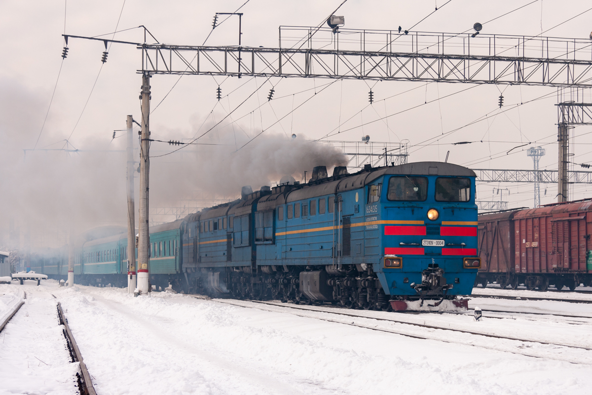 Поездов семей. 2тэ10у 004. 2тэ10у-0004. Станция Семипалатинск. 2тэ 22 с пассажирским поездом.