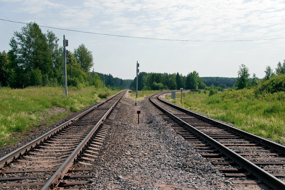 Дорога заволжск островское фото