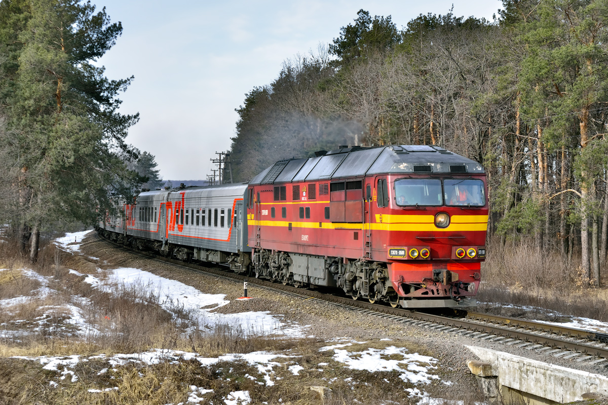 Поезд км. Тэп70-0509. Тэп70 509. Станция 239 км Воронеж. Тэп70 0009.