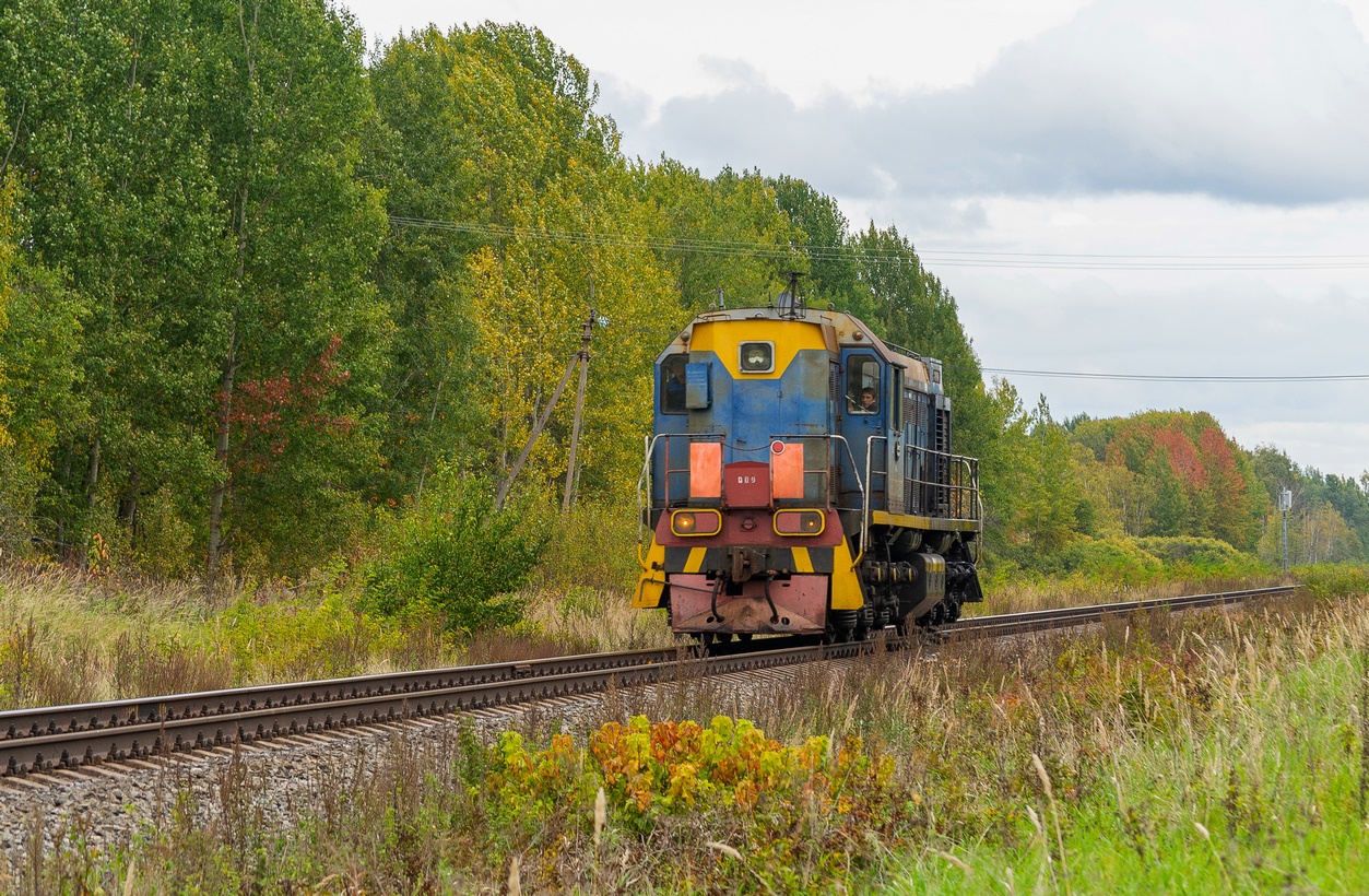 ТЭМ3-009