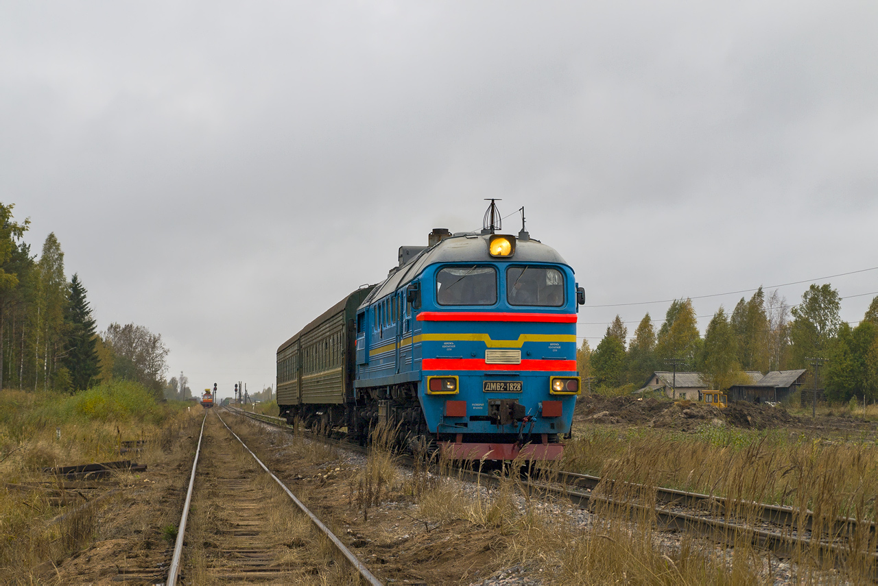 ДМ62-1828