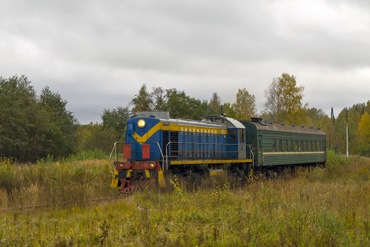 ТЭМ2-2528