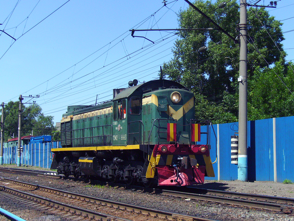 ТЭМ2-6663