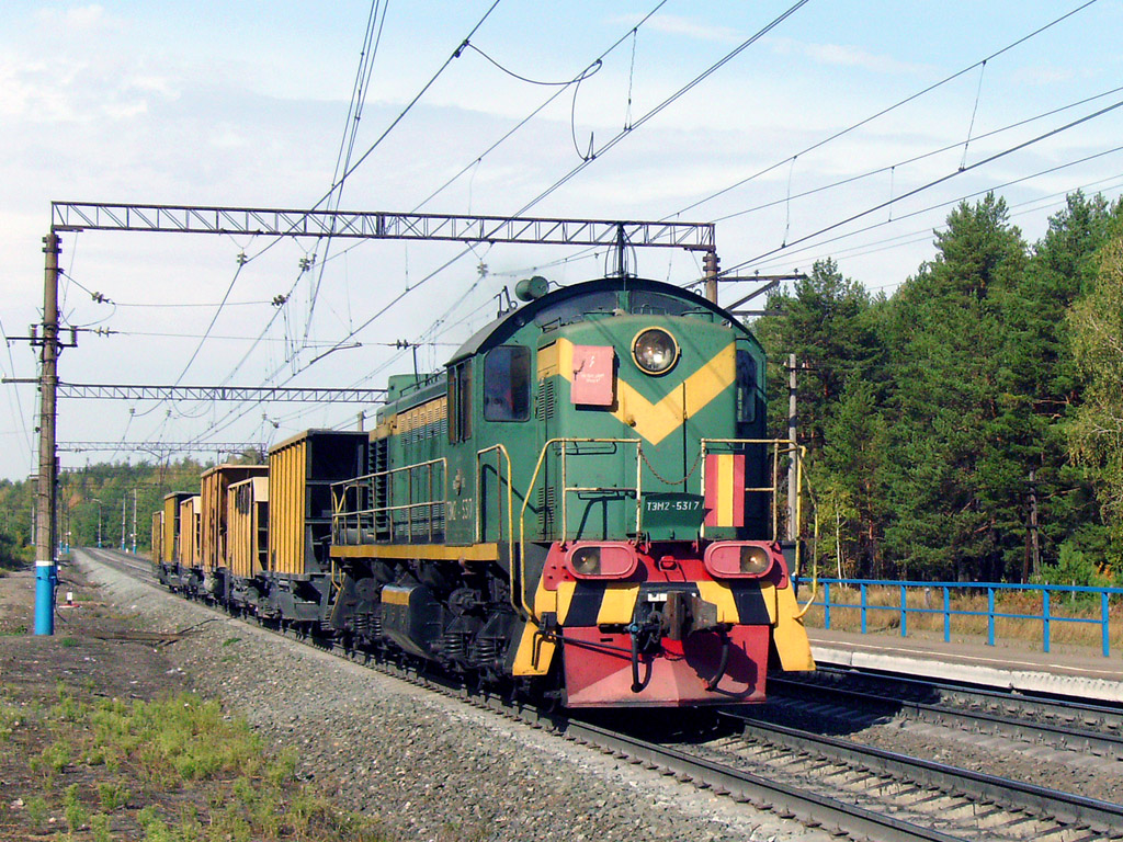 ТЭМ2-5317