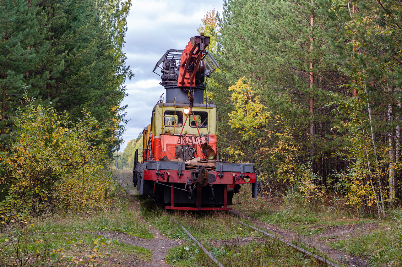 ДГку-3155