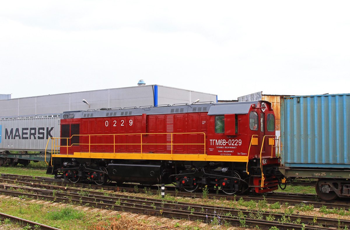 ТГМ6В-0229