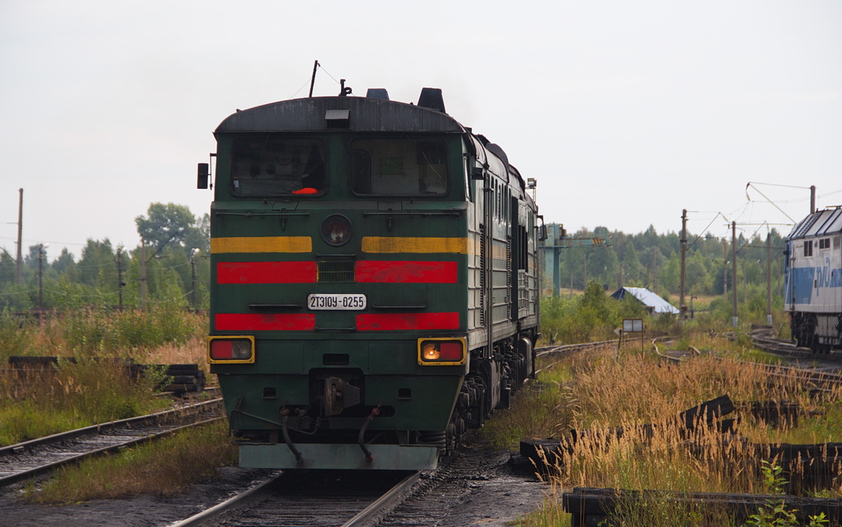 Поезда кулой. Станция Коноша 2. Депо Коноша. Станция Коноша Вологодская область. Коноша 2 тра станции.