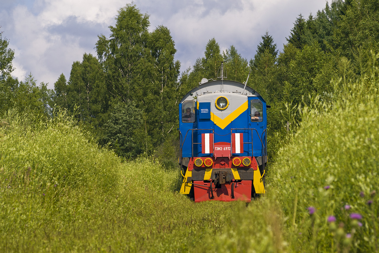 ТЭМ2-6972
