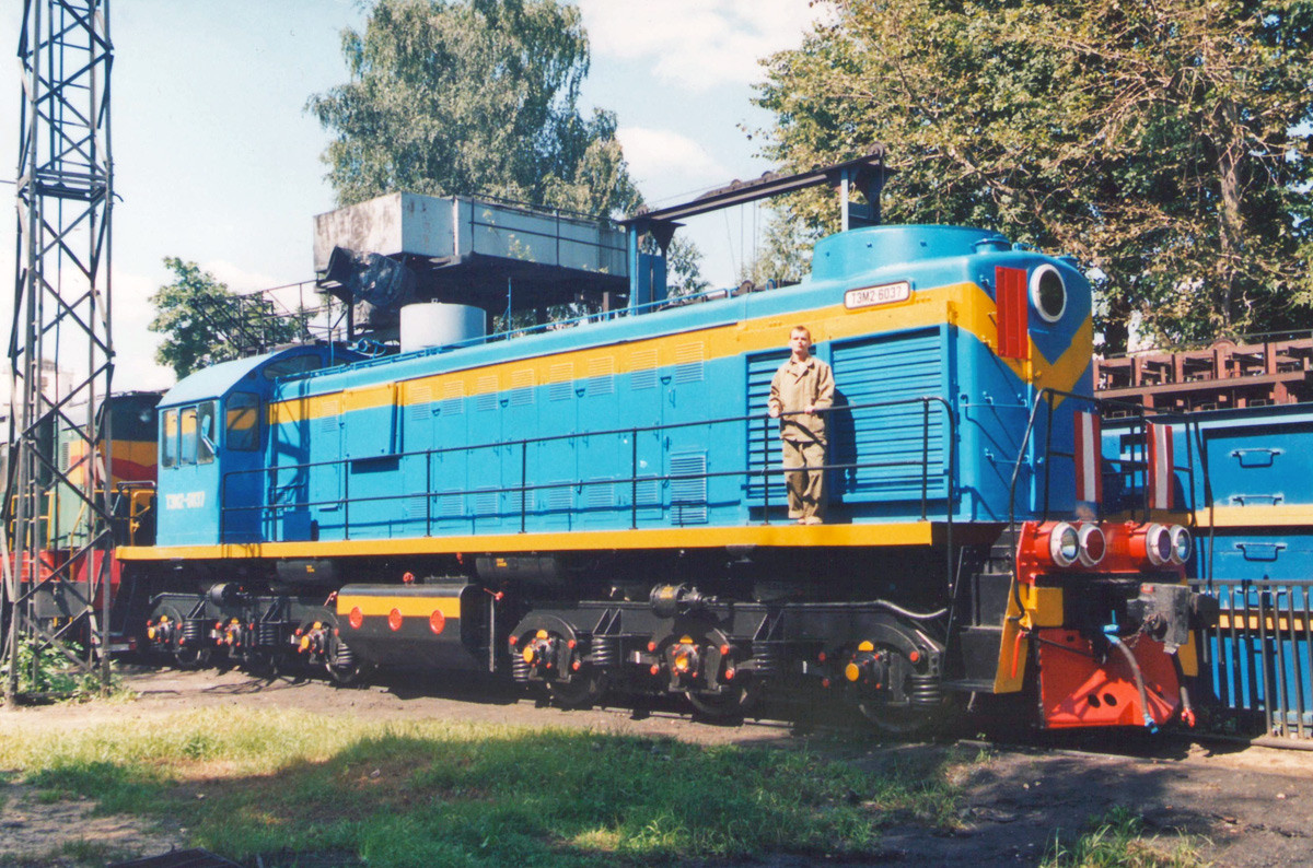 ТЭМ2-6037