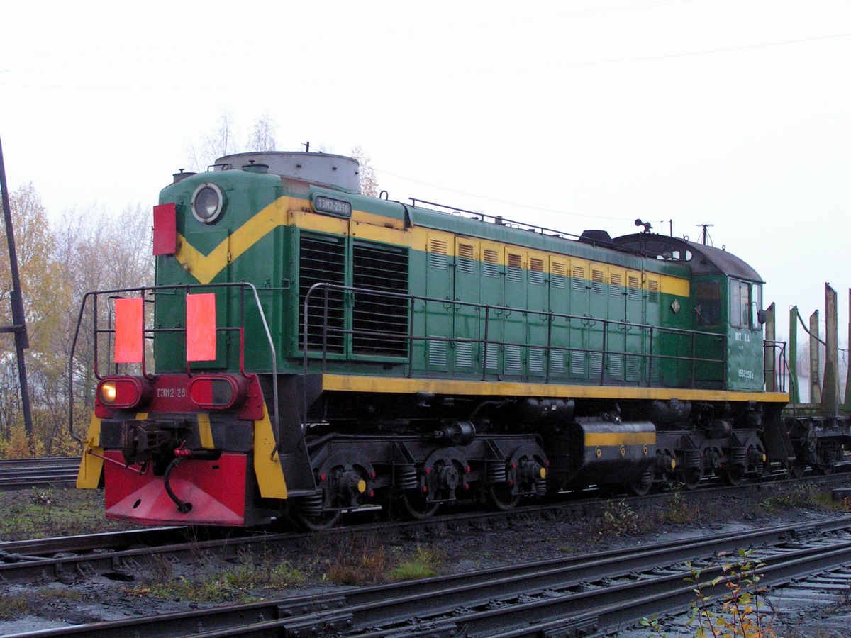 ТЭМ2-2958