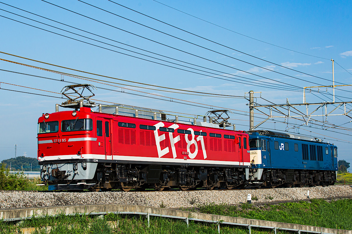 EF81-95