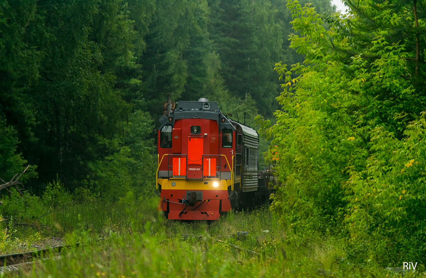 ТЭМ18ДМ-1950