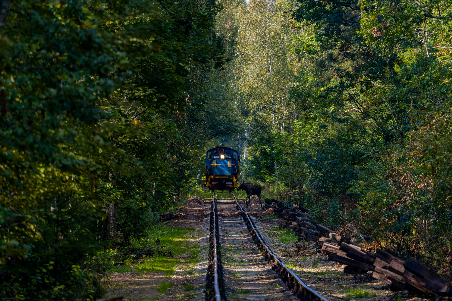 ТГМ4-2964; Moscow Railway — Miscellaneous photos