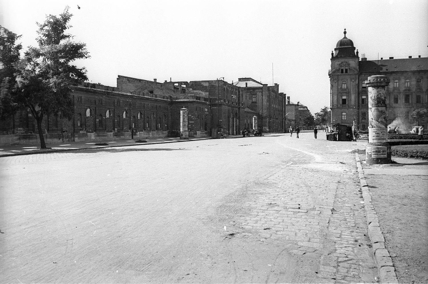 Magyar Államvasutak — Stations & ways