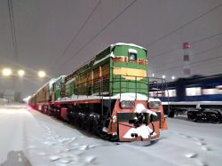 ЭР22-49 (Moscow Railway); ЭП200-002 (Moscow Railway); ГЭМ10 (Moscow Railway); 2ТЭ116Г-0001 (Moscow Railway)