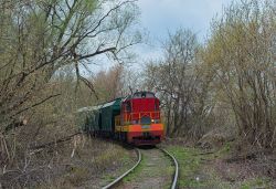 ЧМЭ3-3191 (Московская железная дорога)