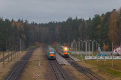 ДП6-004 (Белорусская железная дорога); ДП6-003 (Белорусская железная дорога)