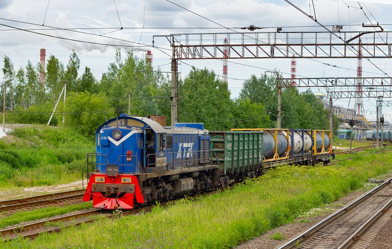 ТЭМ2-6534