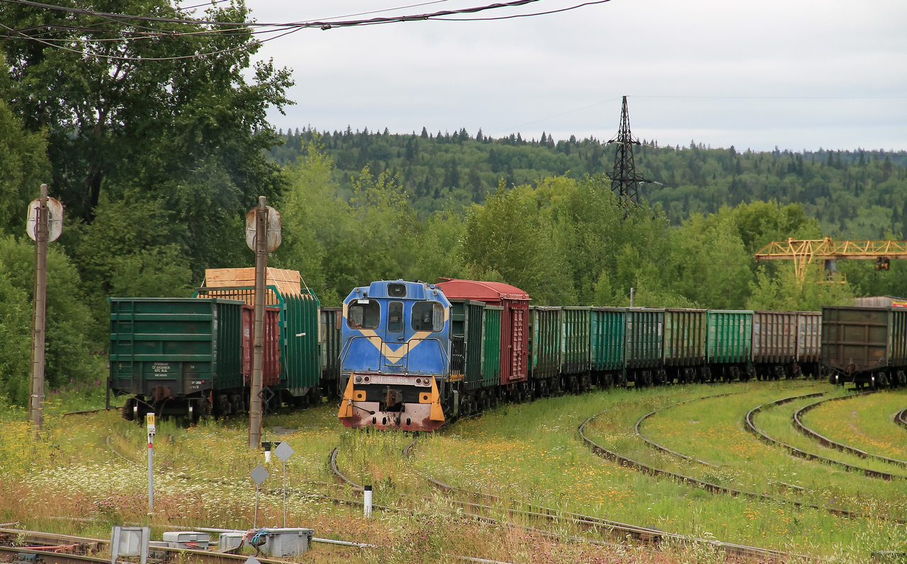 ТГМ6А-1991