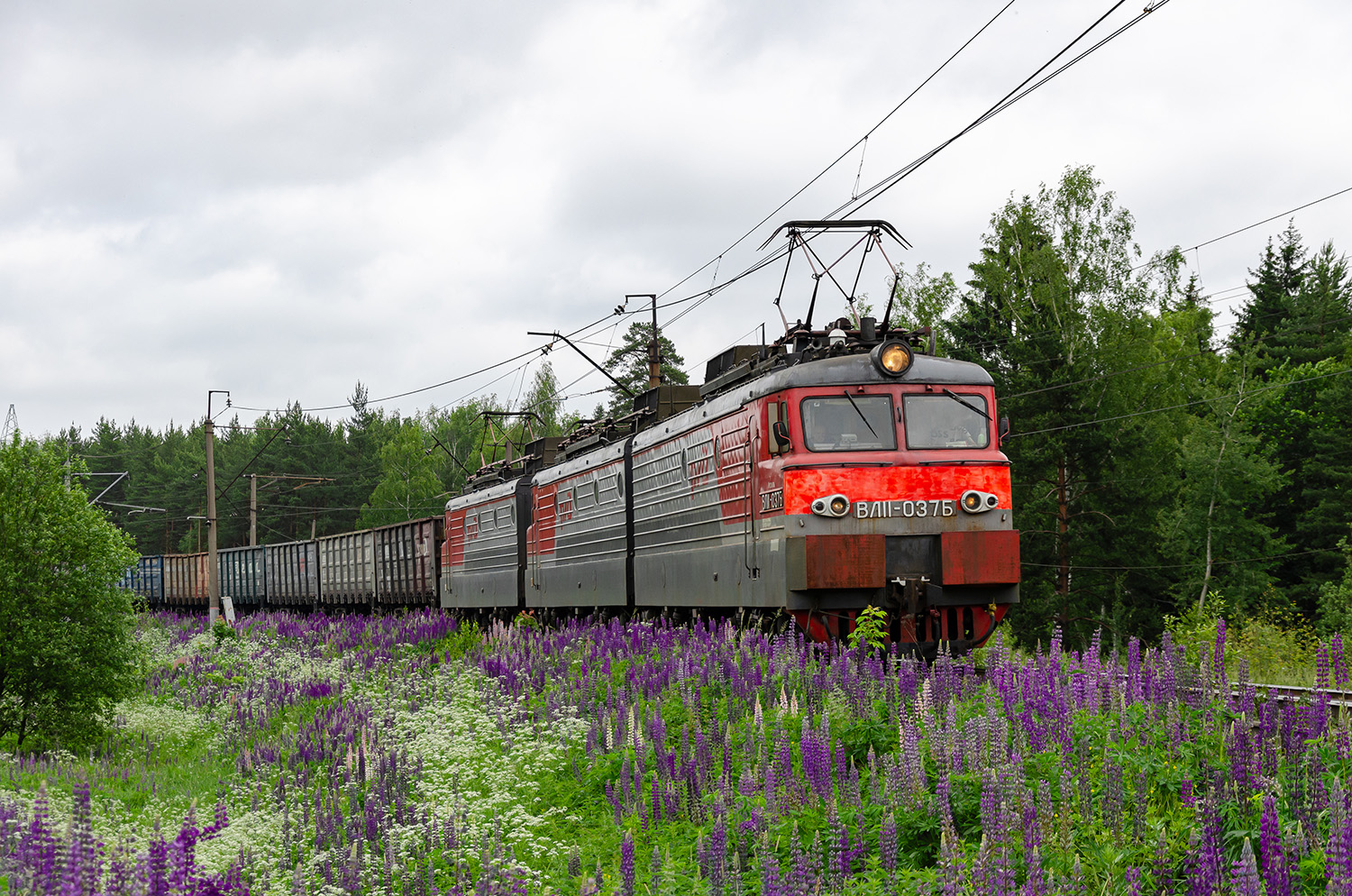 ВЛ11-037