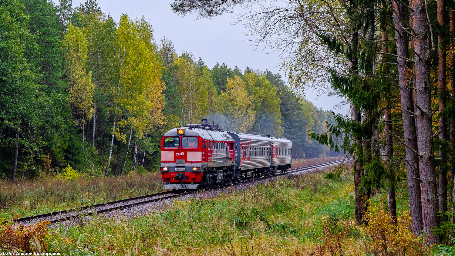 ДМ62-1768