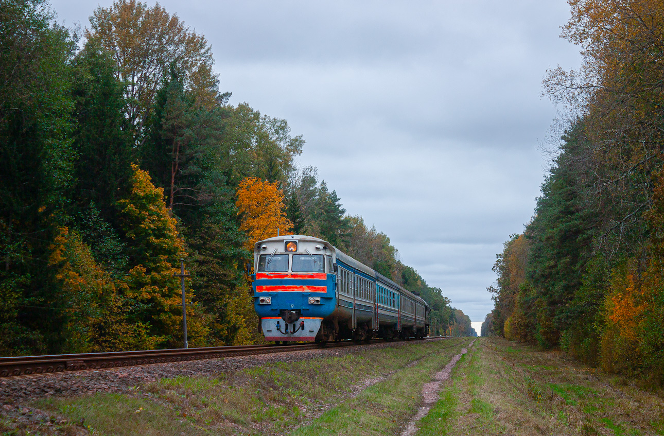 ДРБ1М-17