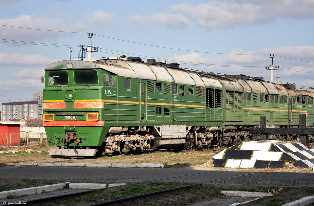 2ТЭ116-393