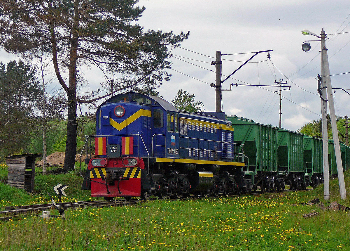 ТЭМ2-6193