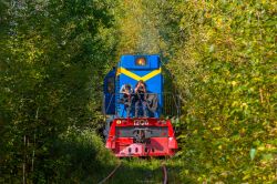 ТГМ6А-1206 (Sverdlovsk Railway)