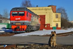 ТЭП70БС-176 (Октябрьская железная дорога)