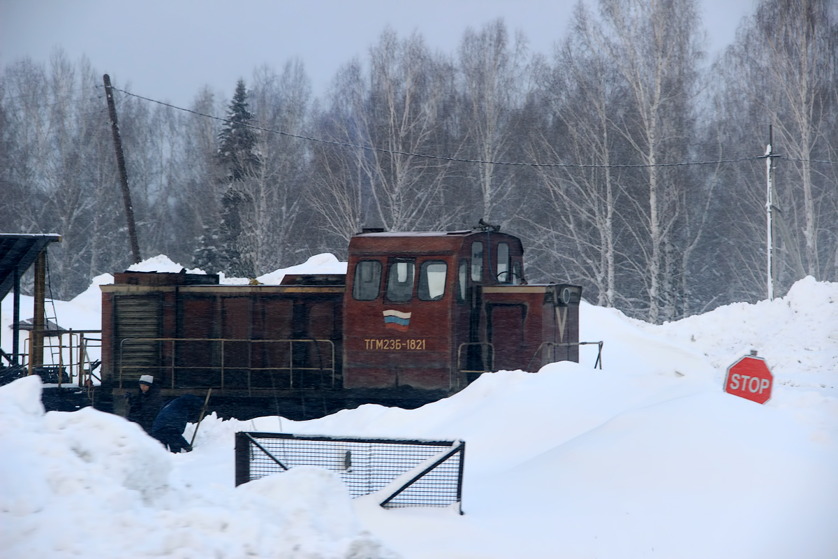 ТГМ23Б-1821