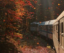 754 051-1 (České dráhy); Creative Photos