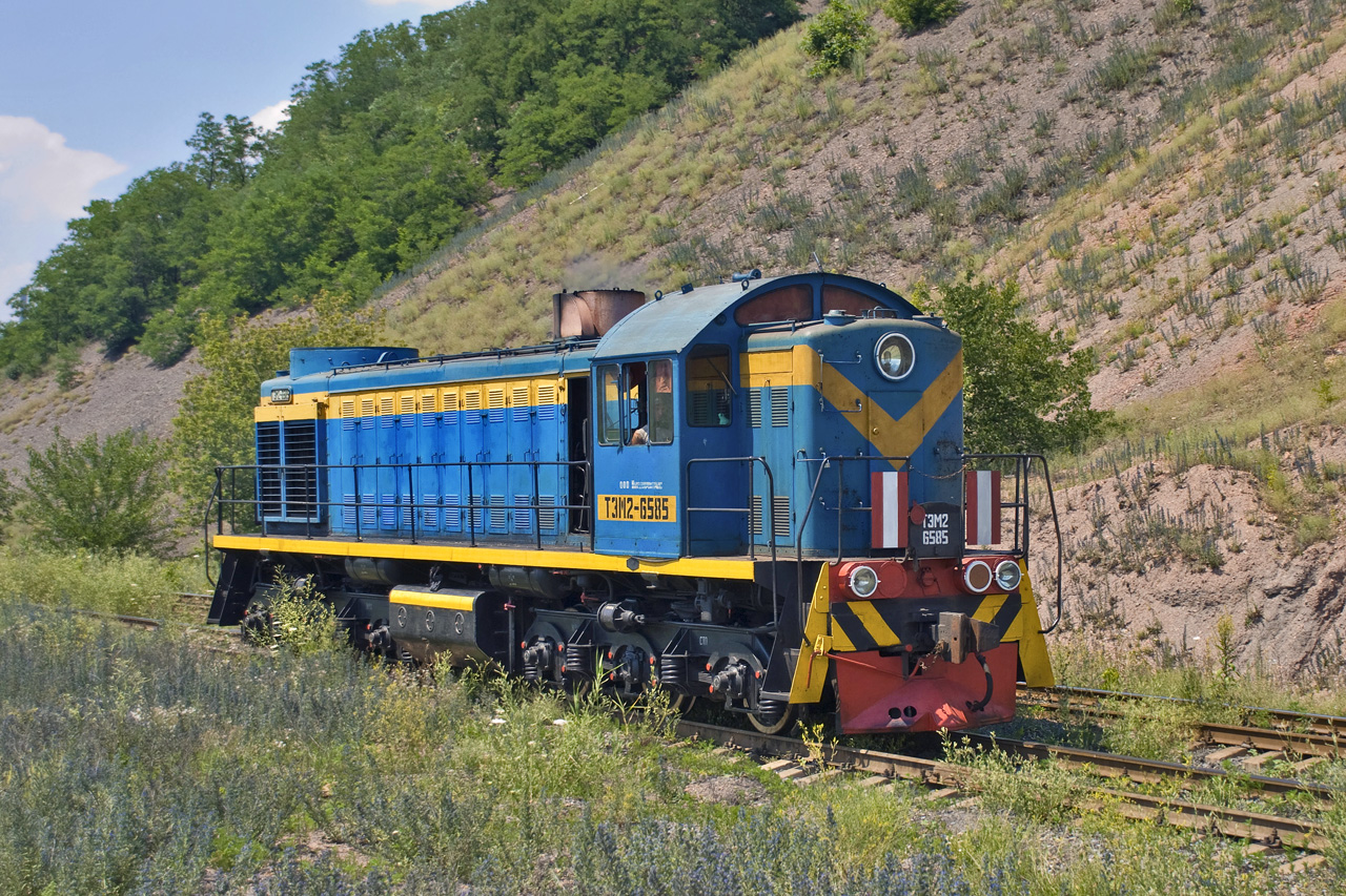 ТЭМ2-6585