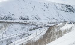 1004 КБ