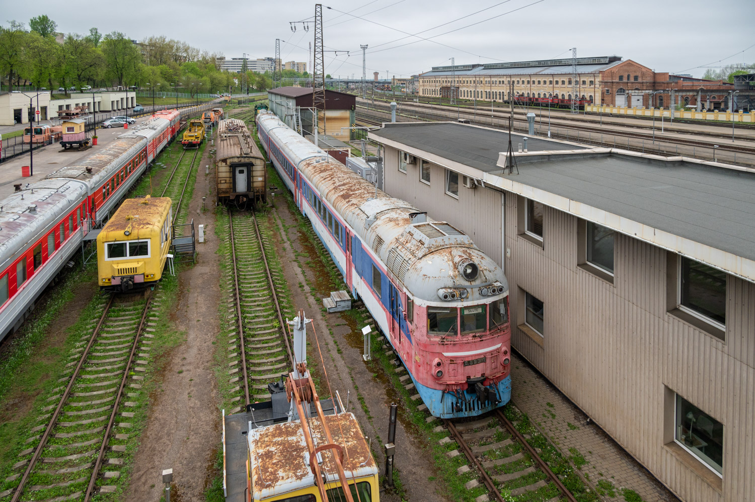 Д1-593