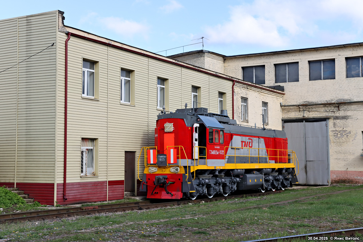 ТЭМ18ДМ-1025