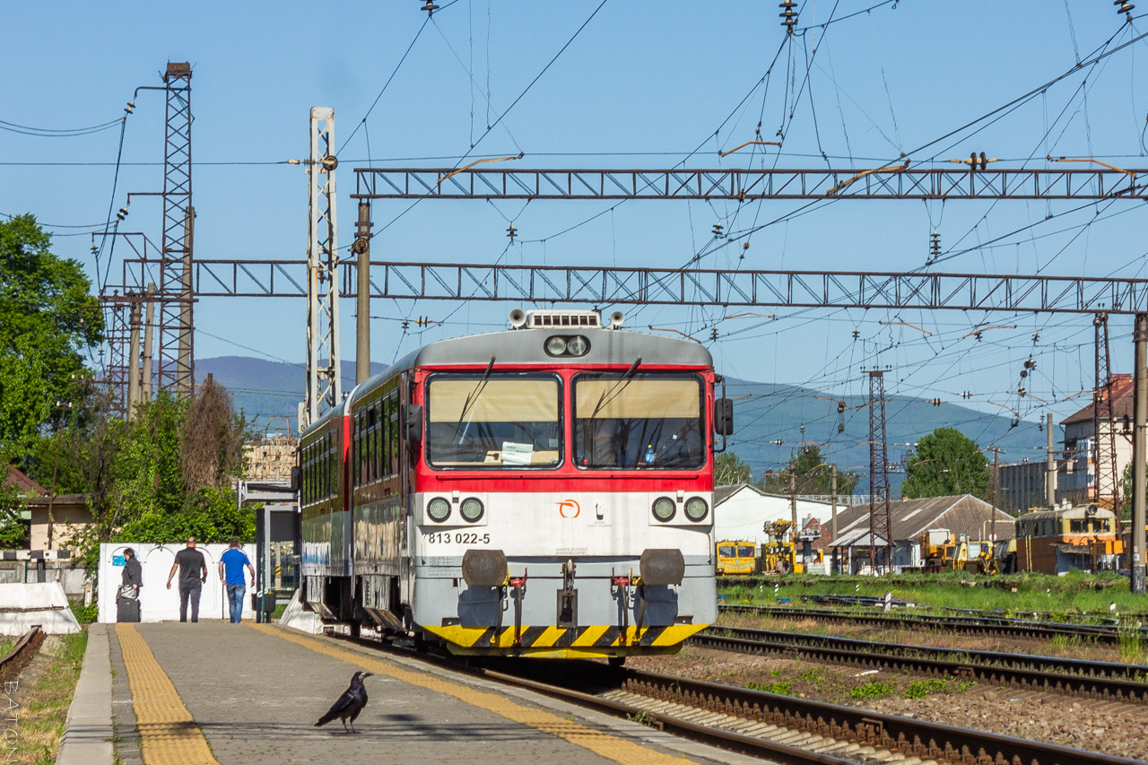 813 022