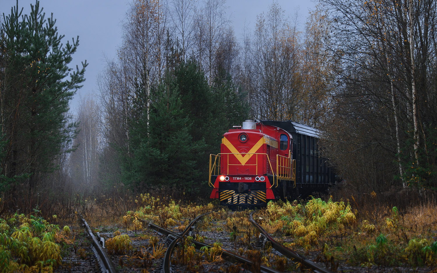 ТГМ4-1636
