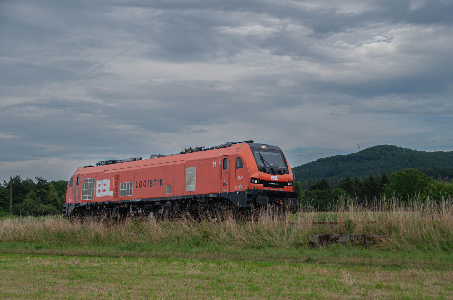 2019 312-8