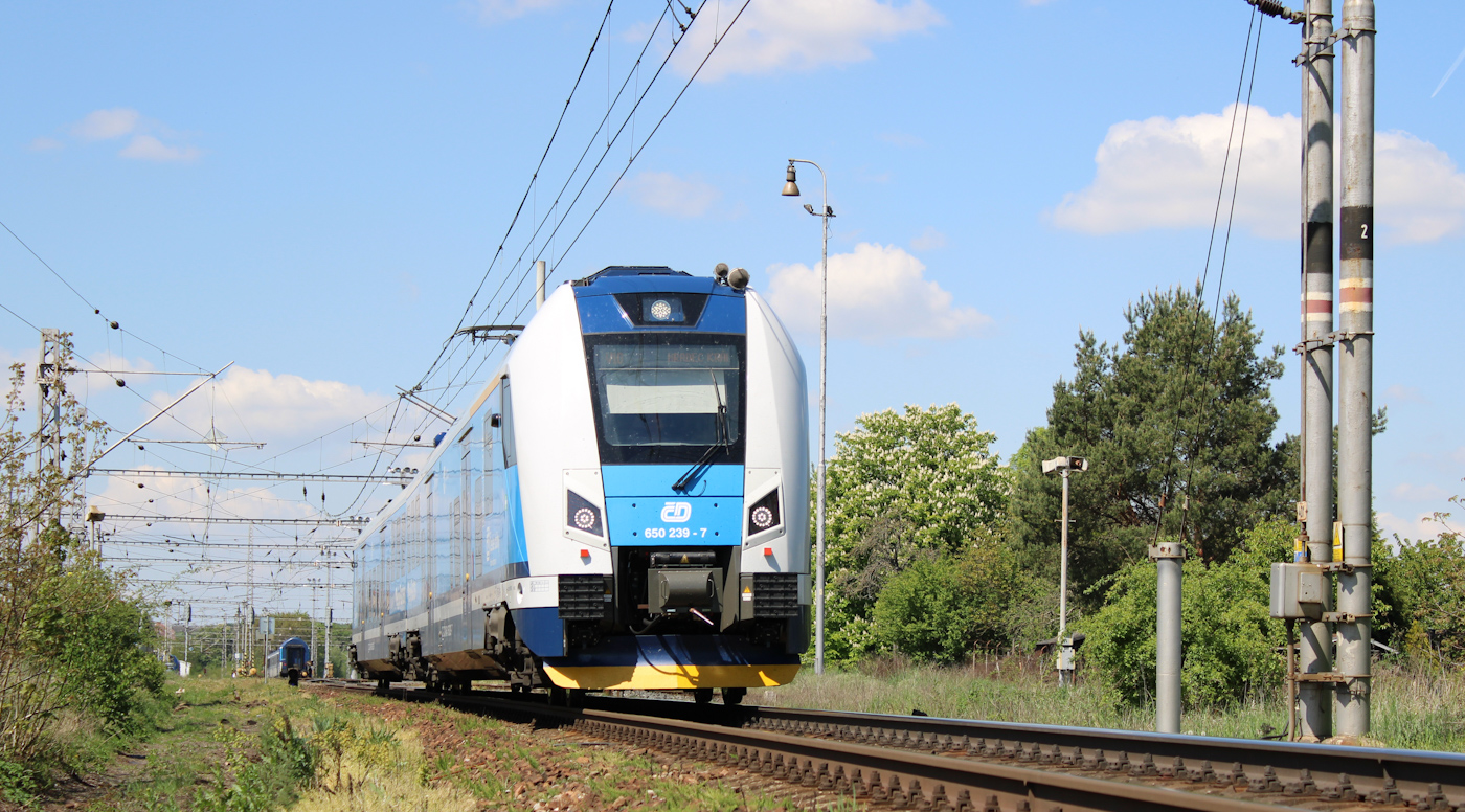 650 239