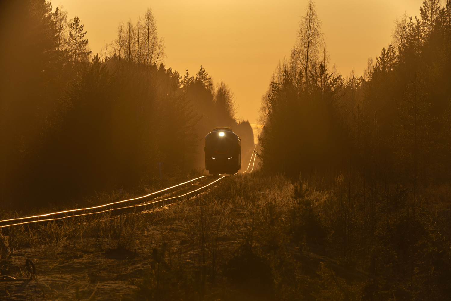 Creative Photos