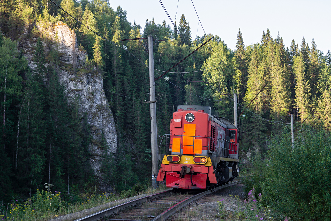 ТЭМ2-2825