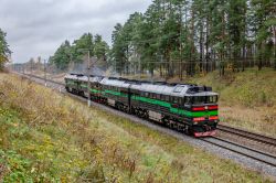 2ТЭ116-1711 (Россия, частные перевозчики); 2ТЭ116У-0187 (Россия, частные перевозчики)